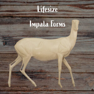 Impala