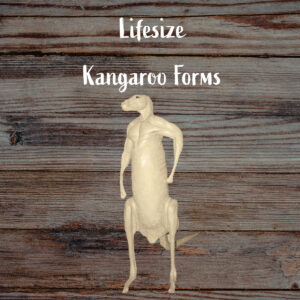 Kangaroo