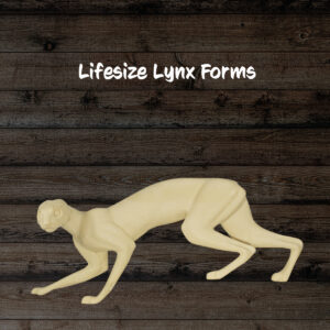 Lynx
