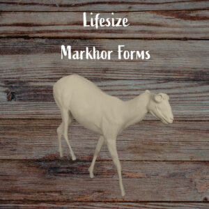 Markhor