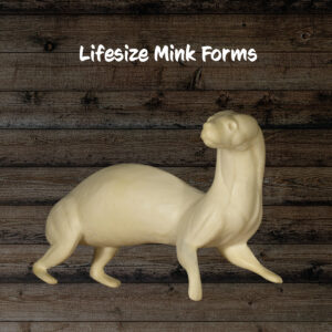 Mink