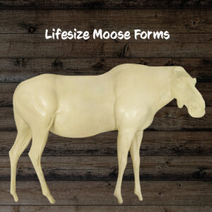 Moose
