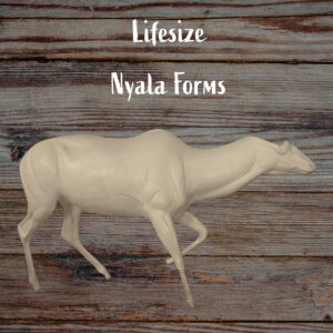 Nyala