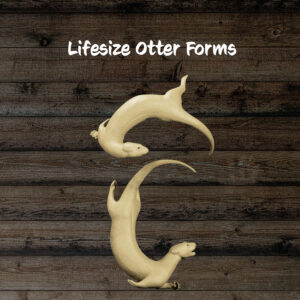 Otter