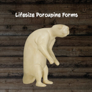 Porcupine