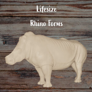 Rhino
