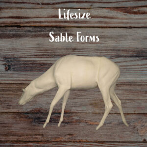 Sable