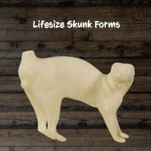 Skunk
