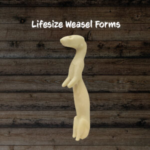 Weasel