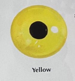 YELLOW EYES #123