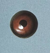 MEDIUM BROWN EYES #124