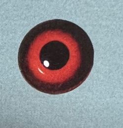 RED EYES #124