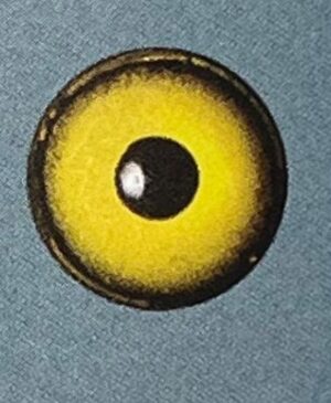 YELLOW EYES #124
