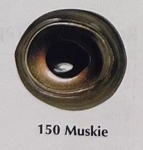 MUSKIE EYES #150