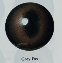 GRAY FOX EYES #165