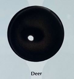 DEER EYES #165