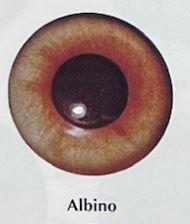 ALBINO EYES #170