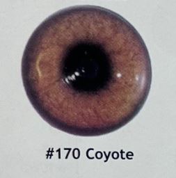 COYOTE EYES #170