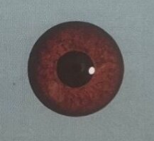 OSTRICH EYES #170