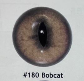 BOBCAT EYES #180