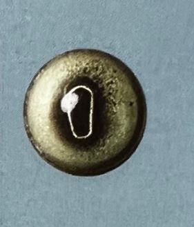 BULL FROG EYES #190