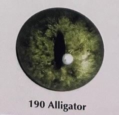 ALLIGATOR EYES #190