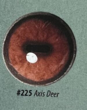 AXIS DEER EYES #230