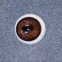 ELK FORWARD LOOK EYES #250AF