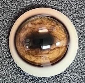 FALLOW EYES #250IQ