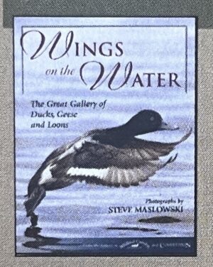 WINGS ON THE WATER
